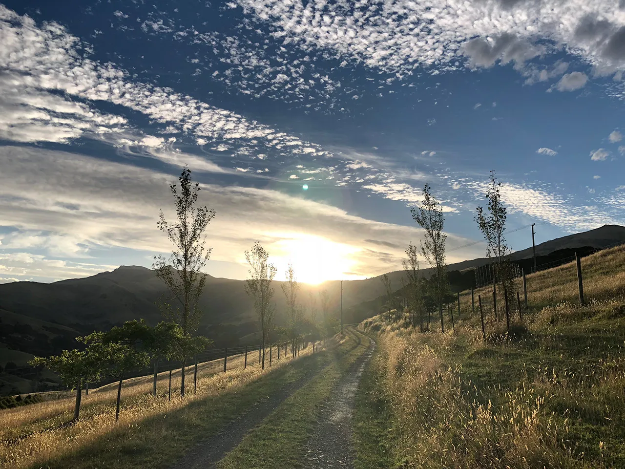 Rural and lifestyle